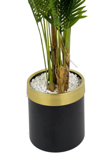 Areka Palmiyesi 220CM Metal Siyah Gold Saksıda indirimleri