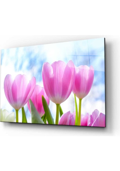 Doğa Manzara Cam Tablo 4mm Dayanıklı Temperli Cam fiyatları