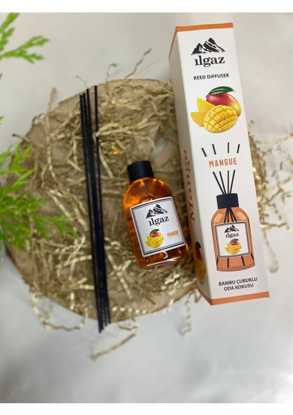 Ilgaz Naturix Organix Reed Diffuser Bambu Çubuklu Aromatik Oda Banyo Kokusu 110 ml Mango