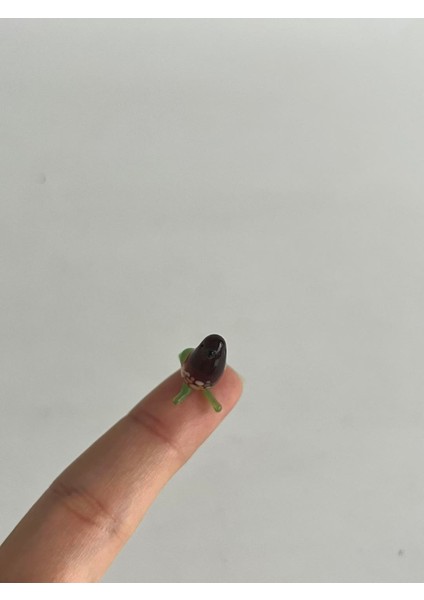 El Yapımı Mini Murano Cam Kuş Biblo A101-01