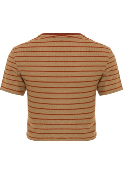 Kadın Çizgili Crop T-Shirt modelleri