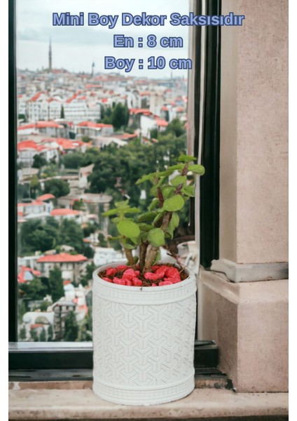 El Yapımı Saksı Seti Dekoratif 6 Adet Saksı Küçük Boy Model 42