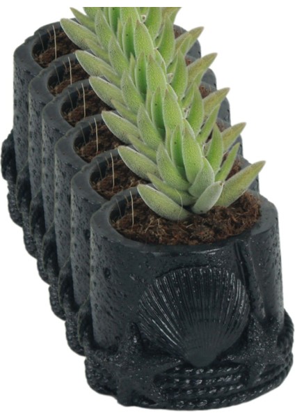 El Yapımı Saksı Seti Dekoratif 6 Adet Saksı Küçük Boy Model 5