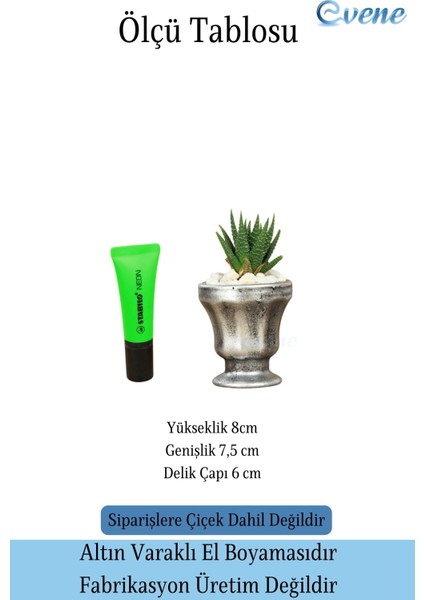 Saksı Kaktüs Saksısı Dekoratif Saksı Model 1