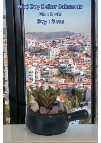 El Yapımı Saksı Seti Dekoratif 6 Adet Saksı Küçük Boy Model 28