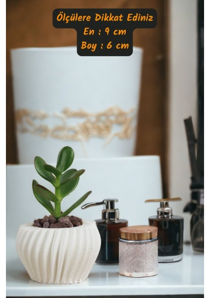 Premium Saksı Minyatür Dekoratif Kaktüs Sukulent Saksısı Model 13 modelleri