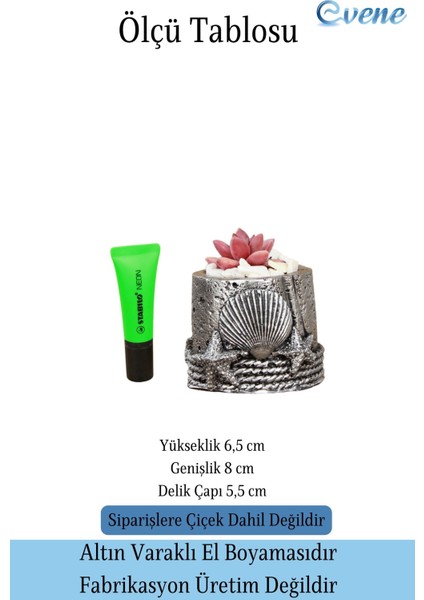 Mini Çiçek Saksısı Küçük Sukulent Kaktüs Saksı Deniz Yıldızlı Istiridye Model fiyatları