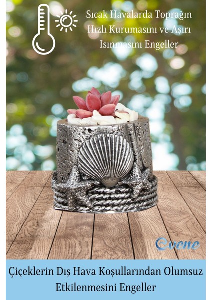 Mini Çiçek Saksısı Küçük Sukulent Kaktüs Saksı Deniz Yıldızlı Istiridye Model fırsatları