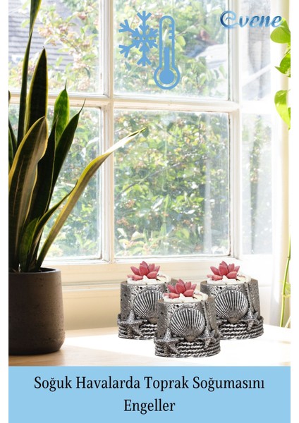 Mini Çiçek Saksısı Küçük Sukulent Kaktüs Saksı Deniz Yıldızlı Istiridye Model indirimleri