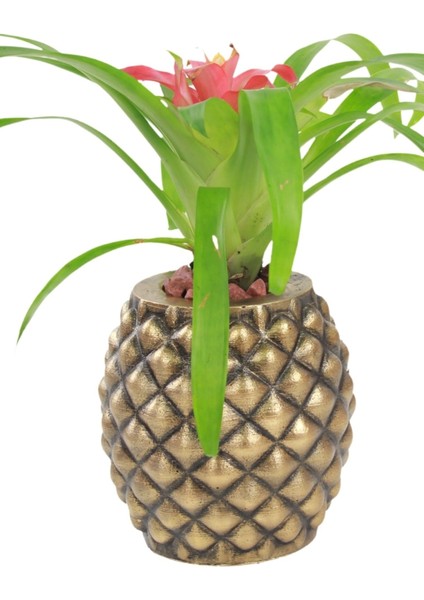 Saksı Çiçek Kaktüs Saksısı Lüx 15 cm Varak Boyalı Ananas Desen Saksı Çiçeklik