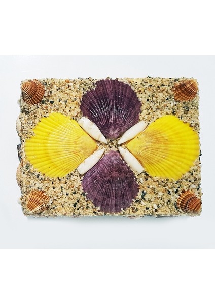 Renkli Deniz Kabuğu Süslemeli El Yapımı Ahşap Takı Mücevher Kutusu 18X13 cm - MKT20