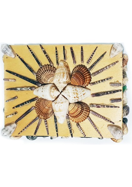 Renkli Deniz Kabuğu ve Kestane Iğnesi Süslü El Yapımı Takı Mücevher Kutusu 18X13 cm - MKT21