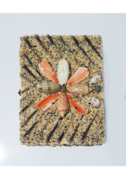 Renkli Deniz Kabuğu ve Kestane Iğnesi Süslü El Yapımı Takı Mücevher Kutusu 18X13 cm - MKT22