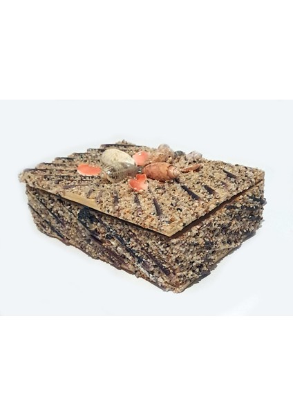 Renkli Deniz Kabuğu ve Kestane Iğnesi Süslü El Yapımı Takı Mücevher Kutusu 18X13 cm - MKT22