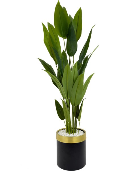 Starliçe 220CM Metal Siyah Gold Saksıda
