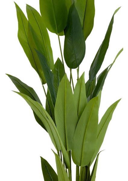 Starliçe 220CM Metal Siyah Gold Saksıda modelleri