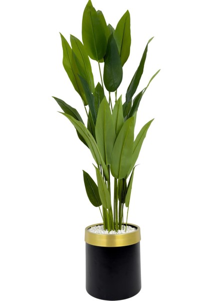 Starliçe 220CM Metal Siyah Gold Saksıda fırsatları