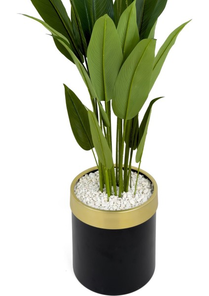 Starliçe 220CM Metal Siyah Gold Saksıda indirimleri