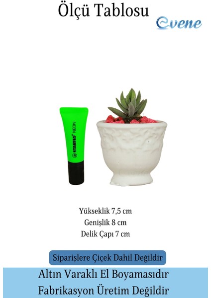 Kaktüs Saksısı Dekoratif Saksı Model 14 fiyatları