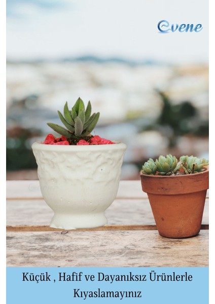 Kaktüs Saksısı Dekoratif Saksı Model 14 modelleri