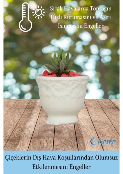 Kaktüs Saksısı Dekoratif Saksı Model 14 fırsatları