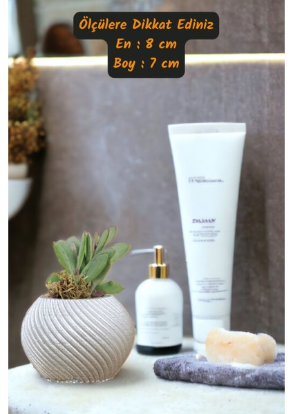 Premium Saksı Minyatür Dekoratif Kaktüs Sukulent Saksısı Model 1 modelleri