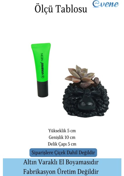 Mini Çiçek Saksısı Küçük Sukulent Kaktüs Saksı Sevimli Koyun Model