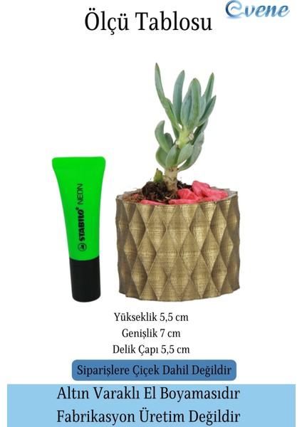Mini Çiçek Saksısı Küçük Sukulent Kaktüs Saksı Baklava Model