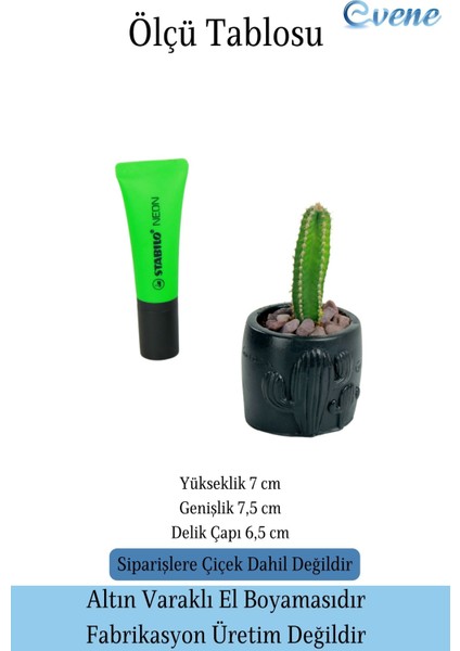 Mini Çiçek Saksısı Küçük Sukulent Kaktüs Desenli Model