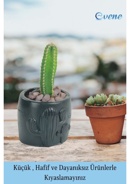 Mini Çiçek Saksısı Küçük Sukulent Kaktüs Desenli Model