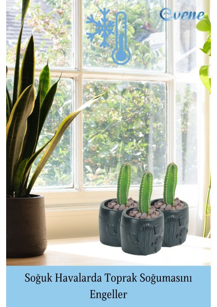 Mini Çiçek Saksısı Küçük Sukulent Kaktüs Desenli Model