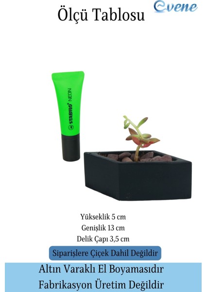 Mini Çiçek Saksısı Küçük Sukulent Kaktüs Saksı Dörtgen Yatay Model