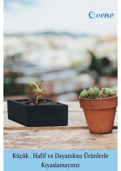 Mini Çiçek Saksısı Küçük Sukulent Kaktüs Saksı Dörtgen Yatay Model