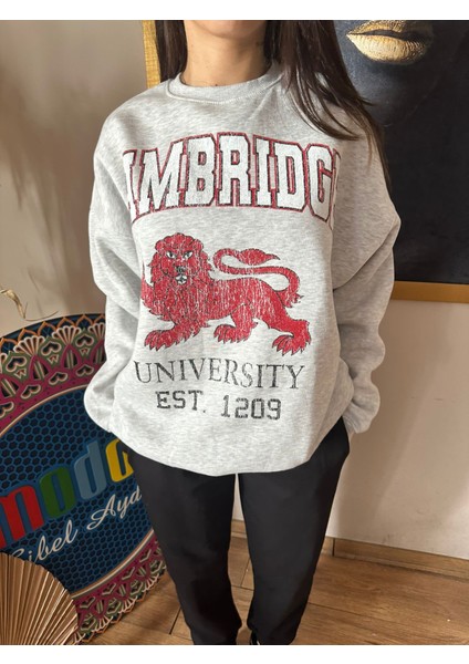 Sweatshirt Cambridge Model