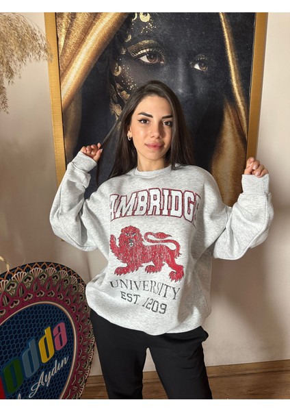 Sweatshirt Cambridge Model