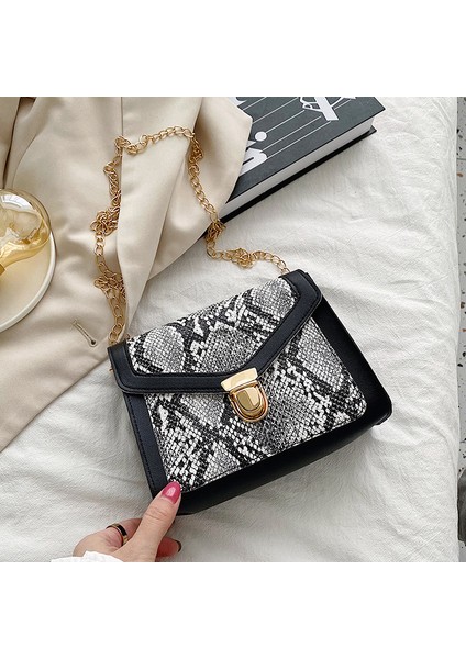 Kadınlar Için Küçük Kare Çanta, Omuz Çapraz Çanta, Cep Telefonu Çantası (Yurt Dışından)