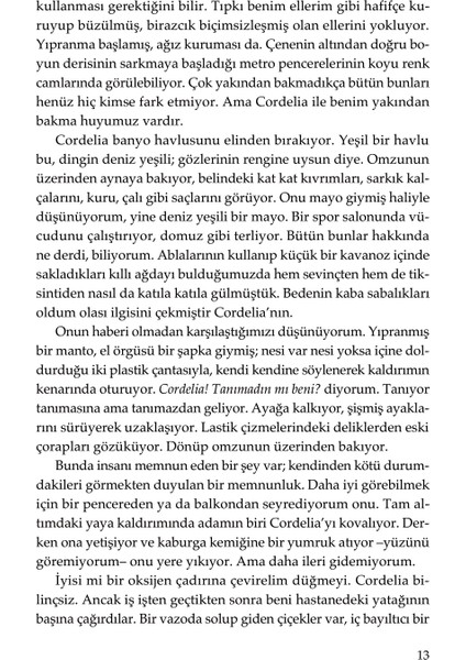 Kedi Gözü - Margaret Atwood