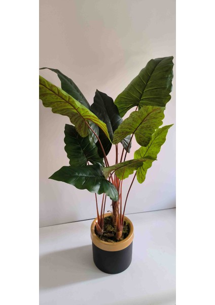 Rüzgar Yapay Çiçekçilik 160 cm Fil Kulağı fırsatları