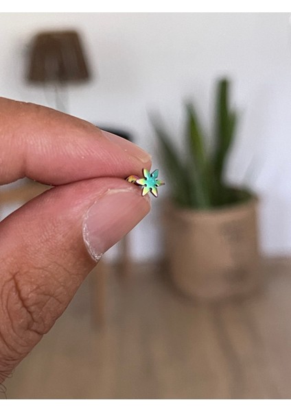 316 L Cerrahi Çelik Tragus Helix Kıkırdak Conch Minimal Yıldız Piercing