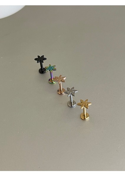 316 L Cerrahi Çelik Tragus Helix Kıkırdak Conch Minimal Yıldız Piercing