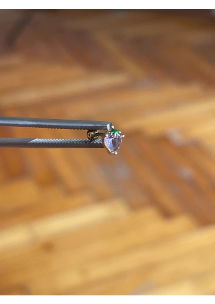316 L Cerrahi Çelik Dudak Kıkırdak Helix Tragus Piercingi çilek Detaylı Piercing