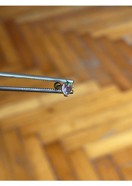 316 L Cerrahi Çelik Dudak Kıkırdak Helix Tragus Piercingi çilek Detaylı Piercing fırsatları