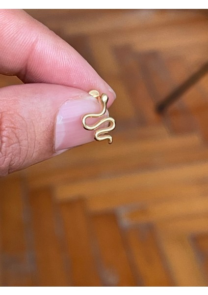 316 Cerrahi Çelik Tragus Helix Kıkırdak Conch Minimal Yılan Model Piercing
