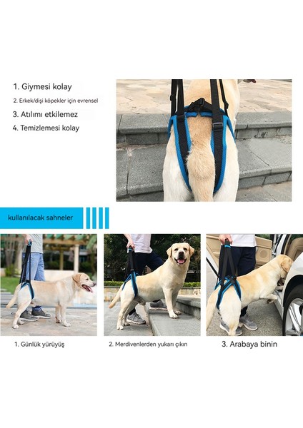Pet Göğüs Tasması (Yurt Dışından) modelleri