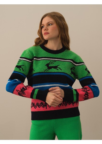 Kadın Yeşil Lüks Pamuk Dokulu Regular Fit Kazak fiyatları