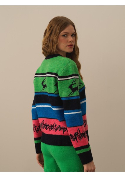 Kadın Yeşil Lüks Pamuk Dokulu Regular Fit Kazak modelleri