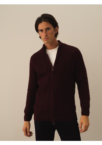 Erkek Bordo Lüks Pamuk Dokulu Regular Fit Hırka fiyatları