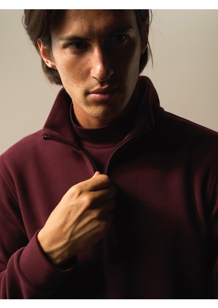 Erkek Bordo Pamuk Dokulu Regular Fit Sweatshirt modelleri
