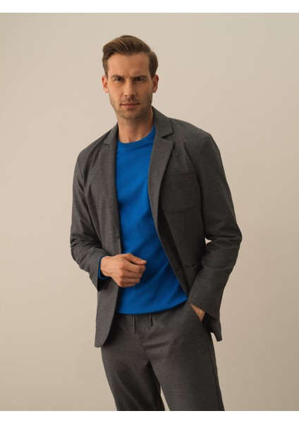 Erkek Koyu Gri Dokulu Esnek Dokulu Regular Fit Ceket fırsatları