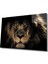 Aslan Cam Tablo 1
